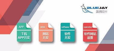 昆明軟件開發與App開發 專業技術驅動的創新之道